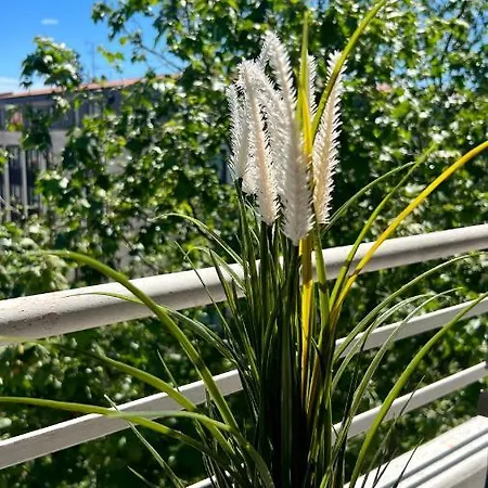 Le Balzac - Proche Croisette Et Plages Cannoises- Clim Et Wifi Apartamento Cannes